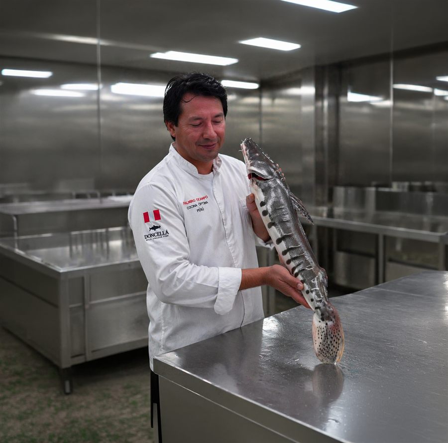 Fresh Doncella — chef holding whole fish